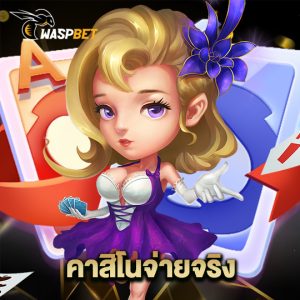 waspbet คาสิโนจ่ายจริง